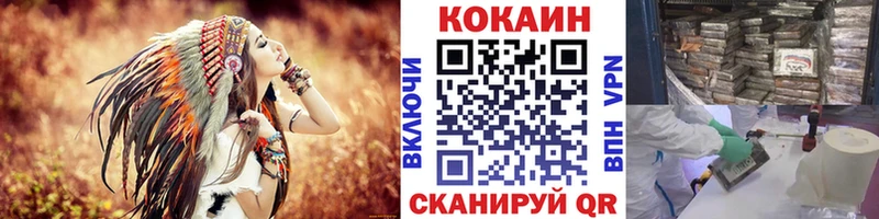 Cocaine FishScale  Купить  Котельниково 