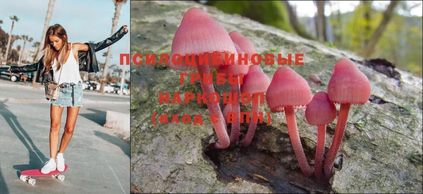 кокс Каменка