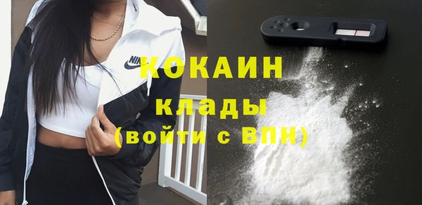 кокс Каменка