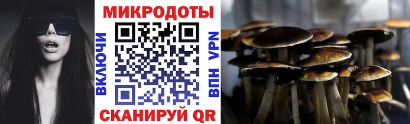 Псилоцибиновые грибы ЛСД  Купить  Котельниково 